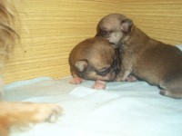 /album/prosinec-2012/a2-12-2012-5-jpg/